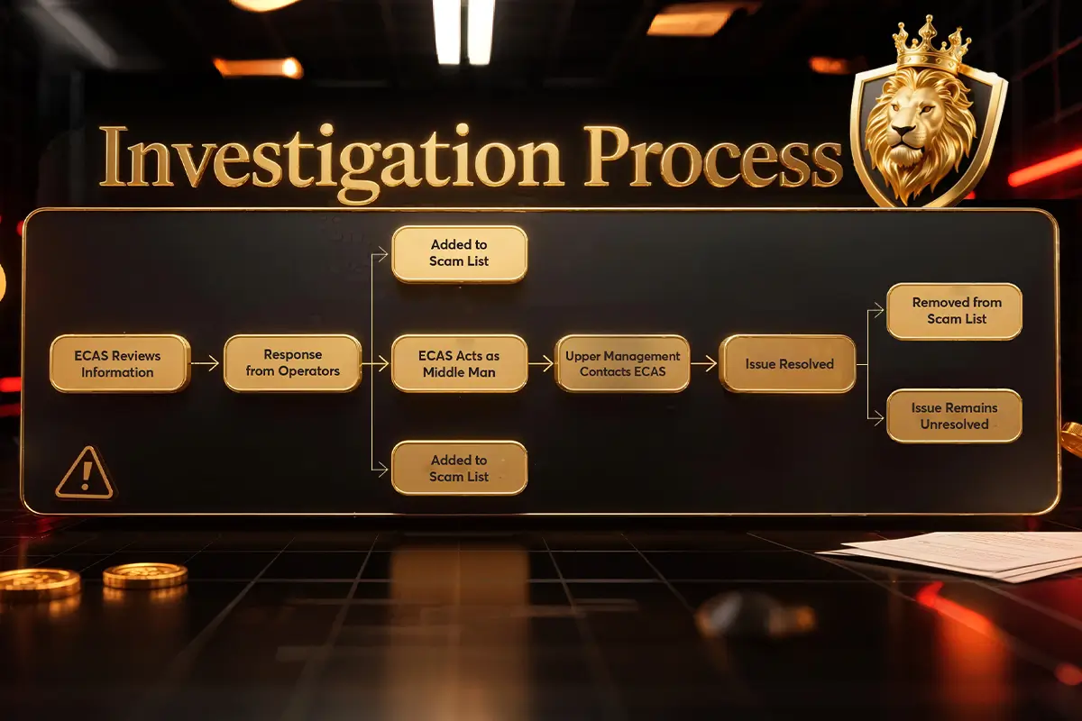 ecas-investigation-process